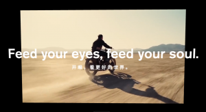 开眼视频 – 汇聚全球优质短视频分享平台-次元御宅