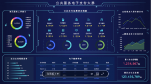 灯果数据可视化-次元御宅