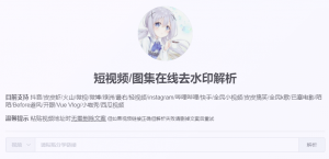 短视频在线去水印解析视频-次元御宅