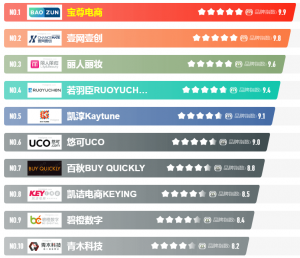 2022年电商代运营十大品牌榜中榜-次元御宅