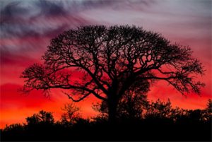 edu教育网邮箱.全球大厂推荐的邮箱合作认证商-次元御宅