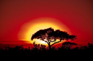 Adblock Plus浏览器安卓版.内置强大的广告拦截技术的浏览器-次元御宅