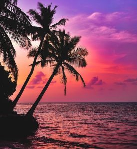 分享2个最好用的九宫格图片切割工具-次元御宅