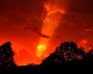 沙雕导航网.有趣好玩的网址导航-次元御宅