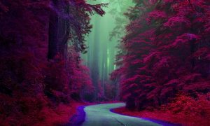 一键把你的头像生成卡通效果的工具网站-次元御宅