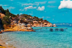 茶杯狐.免费级全网影视观看-次元御宅