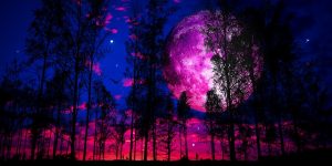 Proton Mail端到端的安全电子邮件服务-次元御宅