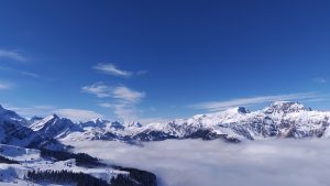 哇咔工具.表情包制作神器-次元御宅