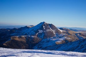 猫啃网.免费商用字体分享网-次元御宅