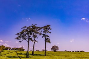 网页版ps图片编辑软件-次元御宅