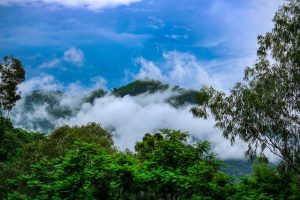 心晴网.心理学书籍整合网-次元御宅