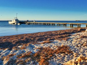 crunchbase国际上最大的创业数据库-次元御宅